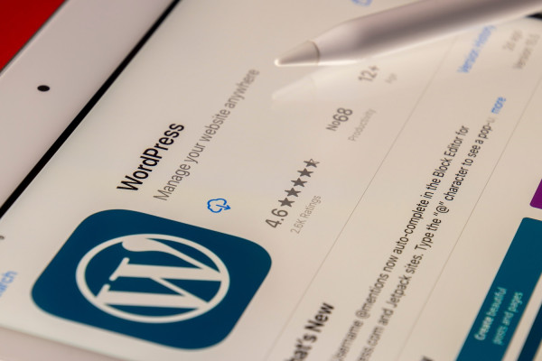 Por que sites em WordPress não são essa maravilha que tentam te vender?